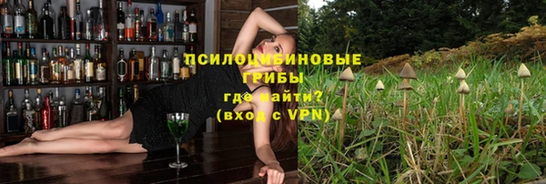 ешки Алзамай
