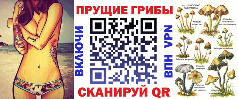 где купить наркотик  Любим  omg tor  Псилоцибиновые грибы Psilocybine cubensis 